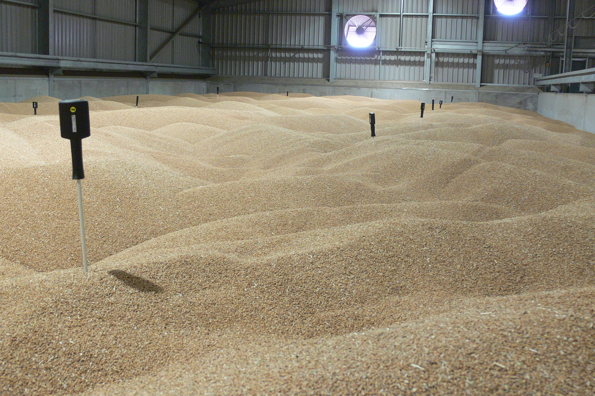 Wireless temperature probes in a grain store